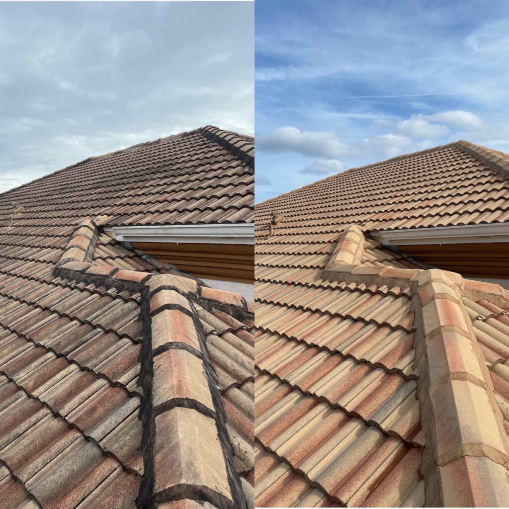 Roof Cleaning New Smyrna Beach, FL