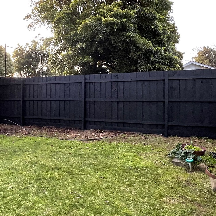Painted Fence